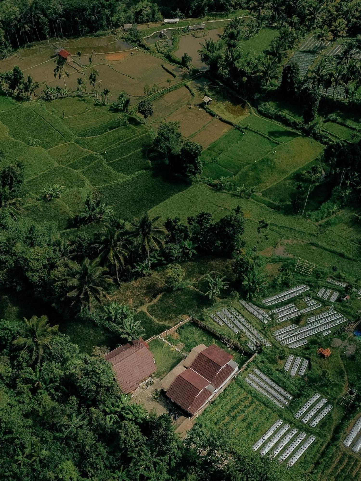Alora House Lombok Tete Batu Hotel Tetebatu Eksteriør billede